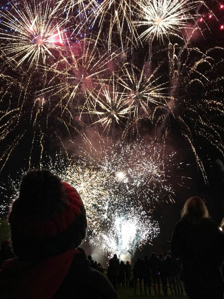 Guests watching a burst of fireworks light up the sky at a previous Knight Stainforth Hall display