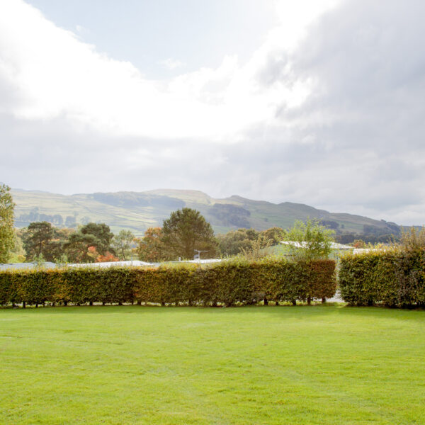 caravan-pitch-yorkshire-dales-field